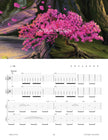 Load image into Gallery viewer, Printed Guitar Book, Digital Guitar Book
